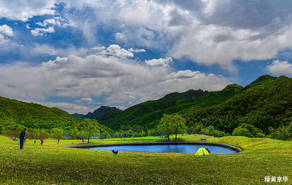 何丽《高山草甸》.jpg